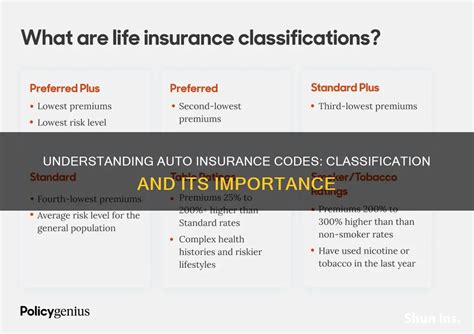The Definitive Guide to Auto Insurance Codes in New Jersey.